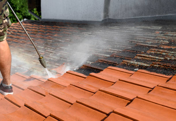 Best Fence Pressure Washing  in Woodridge, IL