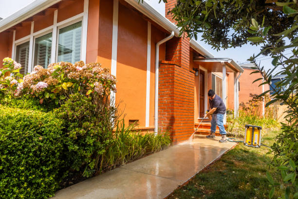 Local Pressure Washing Services in Woodridge, IL
