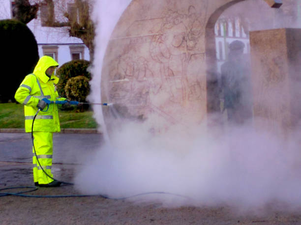 Best Local Pressure Washing Services  in Woodridge, IL