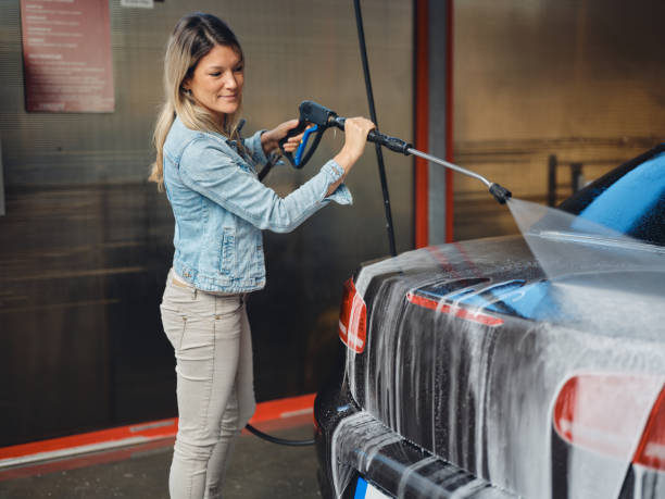 Best Roof Pressure Washing  in Woodridge, IL